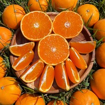 세상모든농부 제주 고당도 카라향 감귤, 소과, 10kg