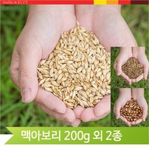 국내산 건강한 보리차 옥수수차 맥아 식수 물 200g, 맥아(13YS)