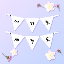 파티스토어 파티가랜드 주문제작 _ 생일 백일가랜드 커플 연인 기념일 웨딩 셀프촬영, 종이(화이트)+기본_삼각  ++폰트++FGR_5
