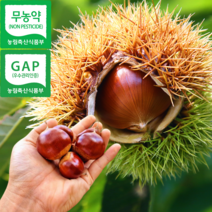 충주밤 이평 석추 단택밤 2KG, 충주밤 석추밤 대 4KG