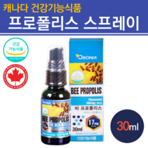 약국프로폴리스 뿌리는 프로폴리스 스프레이 프로폴리스원액 앰플 액체 포르폴리스 플라보노이드기관지