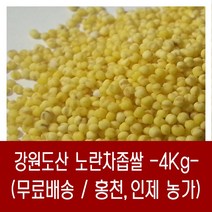 [다온농산] 2022년산 강원도산 노란차조/차좁쌀 -4Kg- 홍천/인제농가