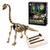 공룡화석 발굴키트/공룡화석 발굴 과학키트(대형) DINOSAUR EXCAVATION KIT, 브라키오사우르스