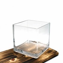 베스트하우스 유리화분 화병 수반 N1515S (정사각) 15x15x15cm (정사각/화분/원예용품/정원/건강/생활 추천)