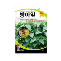 방아잎 씨앗 민속 채소 방아잎종자(1g) MK086