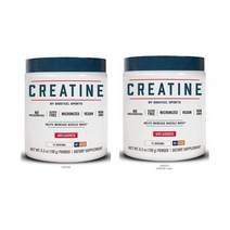바이오스틸 스택커블 크레아틴 파우더 글루텐 프리 무맛 언플라버드 180g 2팩 BioSteel Creatine