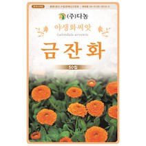 노루오줌 1g - 야생화 씨앗 꽃씨 씨 꽃씨앗 노루오줌씨앗 노루오줌씨 다년생꽃씨 여러해살이 야생화씨 야생화씨앗 꽃, 05_다농_금잔화(50립)