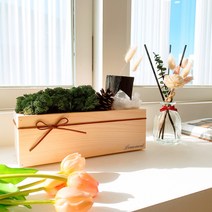 관리쉬운 실내공기정화 화장실 미세먼지 새집증후군 식물 스칸디아모스 편백 피톤치드 화분, 스칸디아모스+편백+숯+꽃화병