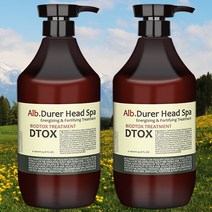 바이오디톡 상한머리 복구 헤어팩 클리닉 트리트먼트 컨디셔너, 2개, 1000ml