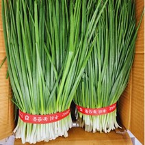 국내산 쪽파 1단 (800g~1kg 내외)깐쪽파 안깐쪽파(흙쪽파), 깐쪽파 10단