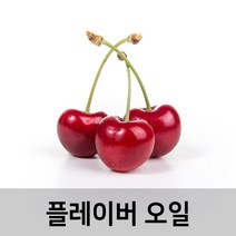 엔피솝 체리 플레이버오일-(cosmetic 등급)립밤만들때첨가 DIY 만들기, 100ml
