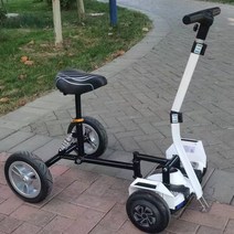 균형 킥보드 세그웨이 나인봇 투휠 전동보드 라이딩, 블랙 범용 모델(사용 가능)