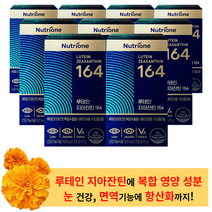 뉴트리원 루테인 지아잔틴 164 30캡슐 (9박스) - 부모님 눈건강 눈사랑 시력보호 눈영양 루테인 지아잔틴 마리꽃 마리골드 황반개선 황반색소 눈통증 눈시림 눈물 비타민 안구영양제