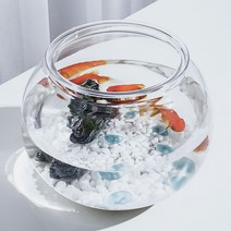 (다드몰) 프리미엄 플라스틱 둥근 어항 원형 12.5X10cm 구피 베타 키우기 (a5247ea937), 쿠팡 다드몰 본상품선택