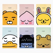 카카오프렌즈 L홀더 파일, 어피치