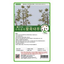 참죽나무씨앗 20g 나무씨앗