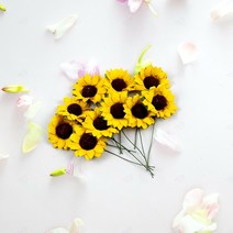 해바라기 조화 종이 조화꽃 미니 해바라기 모형 10p, 라이트10P