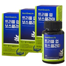 뉴트리원 트리플 업 보스웰리아 (90정) 보스웰릭산 울금 칼슘 아연 마그네슘 함유, 3개