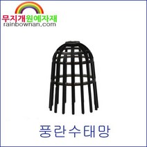 수태망 풍란자재