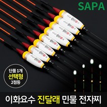 이화 요수 진달래 2점등 LED 민물 전자 낚시 찌, 녹색 70cm