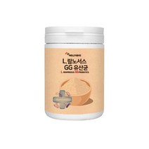 유산균 다이어트유산균 람노서스 GG유산균 유청단백질 프랑스산 230g, 1개