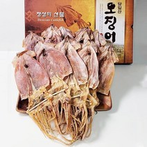 해진 울릉도 건오징어(특대) 10미(900g)선물포장, 1개