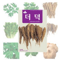 민속 씨앗 27종, 방풍 2g
