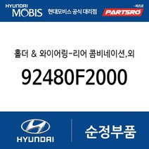홀더 & 와이어링-리어 콤비네이션 외측 (92480F2000) 아반떼AD 현대모비스 부품몰
