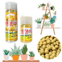 친환경 고급 모든 식물 화분 화초 뿌리 나무 알갱이 영양제 구슬 농축 다육이 비료 대용량 고체형, 식물영양제 생생코트 (대)