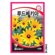 루드베키아 1000립 / 루드베키아씨앗 루드베키았씨 꽃씨 화단 꽃밭 정원