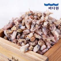 [바다원] 국내산 건꼴뚜기 500g, 없음, 1개