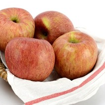 맛있어서 미안해 사과 할께 달콤한 경북 빨간 꿀 사과 5kg 10kg, 1박스, 꿀사과 10kg 중과(30-38과내외)