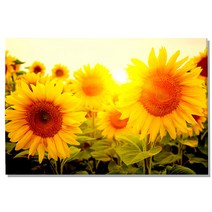 돈 들어오는 금전운 해바라기 액자 풍수그림, 06.복덩이 해바라기, 07.대형 30호 90x60(cm)