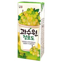 남양유업 과수원 청포도 190ml x 24팩 x 3박스 팩음료 포도주스, 남양-과수원청포도190㎖(24팩) x