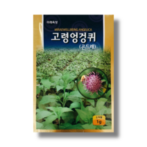 맛과 향이 뛰어난 다수확 영리재배용 품종 고령엉겅퀴(곤드레)씨앗 1g