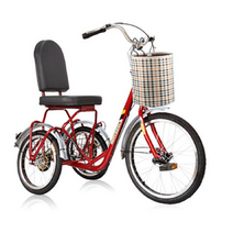 세발자전거 초보용 삼륜 자전거 등받이 노인용 성인용