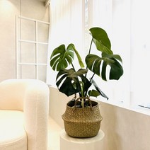 해초바구니 왕골 라탄바구니, 옵션6, 1개