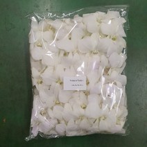 덴파레 화이트 (봉지) / 고속터미널꽃시장 꽃도매 서리풀플라워