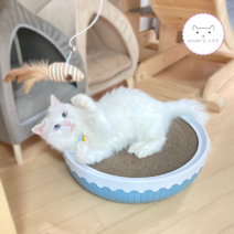 고양이 원형 스크래쳐 빅소파 골판지 벅벅 초대형 캣모나이트 냥모나이트 마약박스 종이방석, 블루 단품