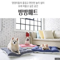 애견 펫쿠션 강아지마약방석 고양이 극강 텐션 무중력 방방 프리미엄 사각 꿀잠 국산 방석, 크기M 민트