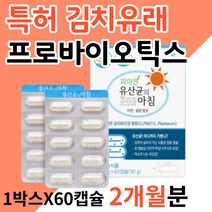 과민성 대장 가스형 장 건강 rgg 비피더스 발효 김치 유산균 장용성 캡슐 프로바이오틱스 신바이오틱스 플러스 아연, 1박스X60캡슐(2개월분)