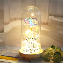 발트728 문구제작 LED 유리돔 글라스돔 홀로그램 황금장미 선물 무드등, 작은아이/홀로그램장미/별도문구제작(폰트3)