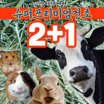 채릇채릇 손질건초 2+1 특별 티모시 알팔파 연맥 토끼 기니피그 햄스터 친칠라 사료, 3kg 특가할인 티모시2번초(미국)