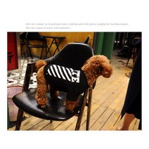 강아지 커플룩 세트 펫피크닉 여름 가을, 옵션5 M[소형]