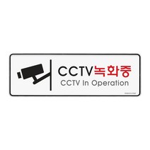 아트사인 CCTV녹화중 255x85mm 표지판 9101, 단품