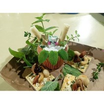 미타임강화체험농장 허브 마늘빵만들기 카스테라로 미니케이크만들기 체험 애견동반가능한 식물원 카페 아이체험 유아체험 어린이체험 성인체험 애견체험, 허브 훌라맨 만들기