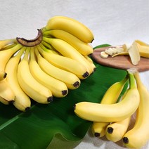 대용량 고당도 바나나 8~6손(13kg) 1박스, 대용량 고당도 필리핀 바나나 6손(중대과)13kg