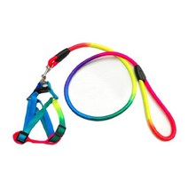 가슴줄 하네스 스트랩 L 시츄 노령견 중형견리드줄 스피츠 산책 진돗개 사모예드 보듬목줄 포메라니안 비숑