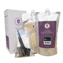 포도쉬즈모 벤토나이트 머리염색약 새치커버 흰머리 -, 하이라이트(10)