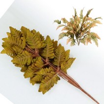 노무라/갈색 고사리 부쉬 잎/풀잎/화초/장식소재 소품